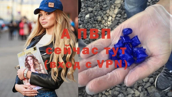 мяу мяу мука Покачи