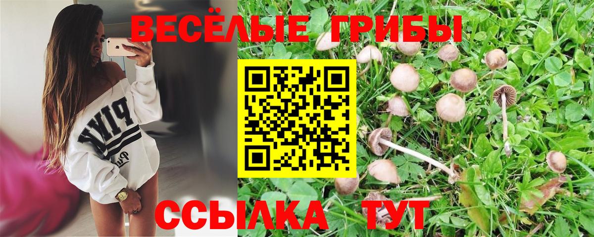 Псилоцибиновые грибы Magic Shrooms  Курск  Галлюциногенные грибы GOLDEN TEACHER 