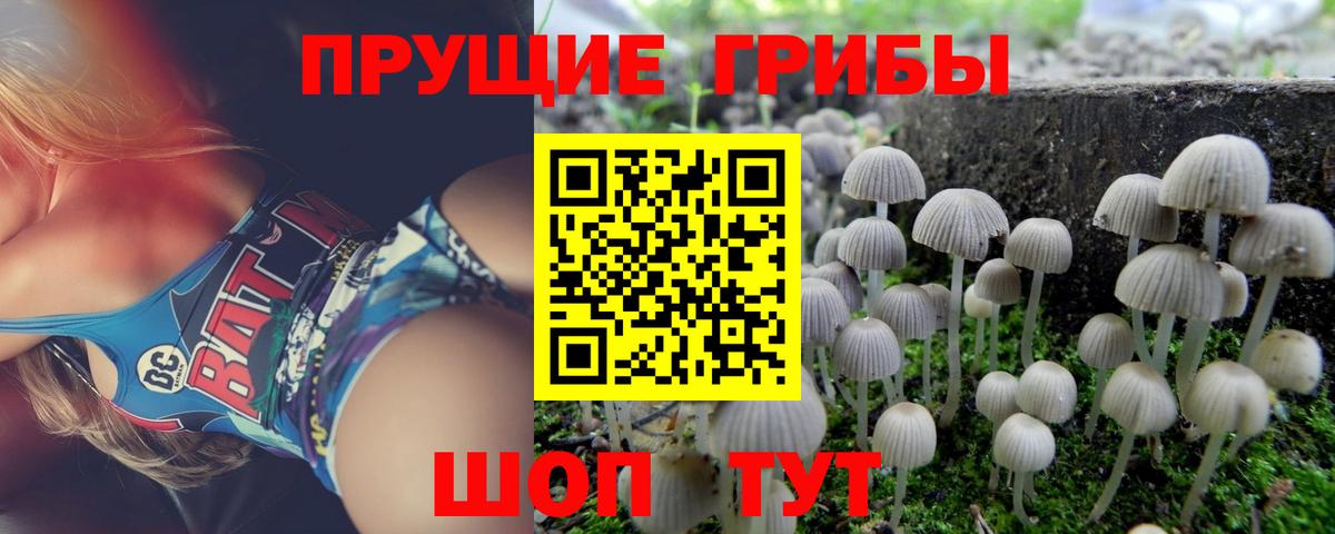 Псилоцибиновые грибы Magic Shrooms Курск