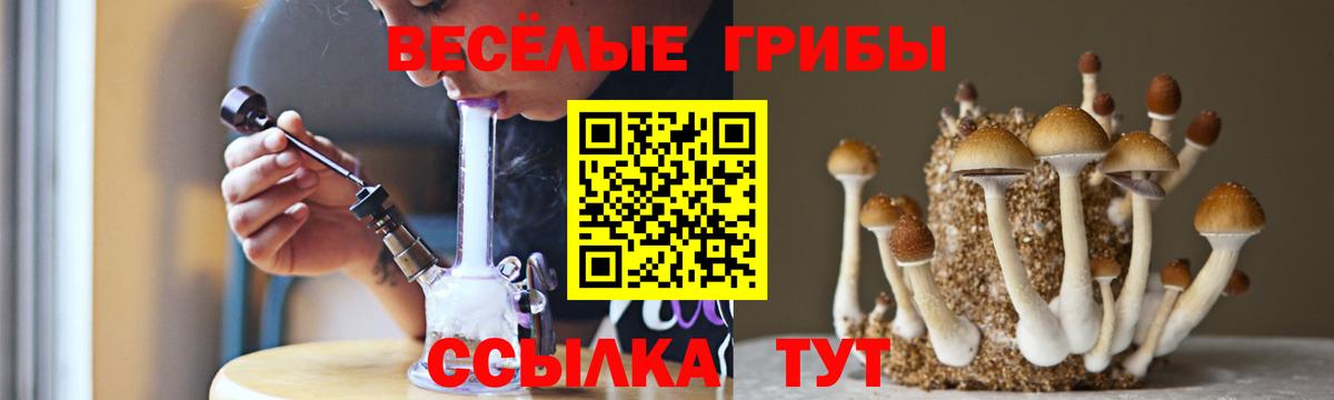 Псилоцибиновые грибы Cubensis Курск