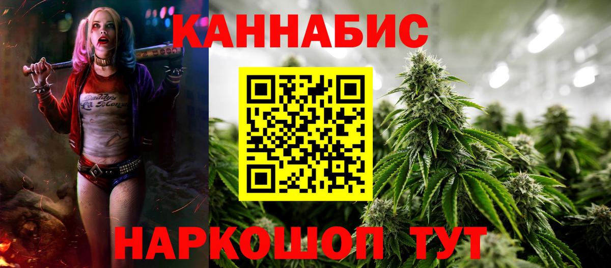 Конопля LSD WEED  Курск  Шишки марихуана сатива 